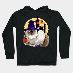 Birman Cat Funny Halloween Witch Pumpkin Hoodie